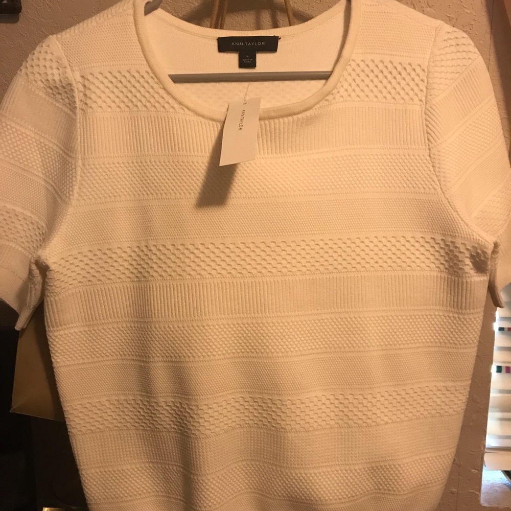 Ann Taylor sweater